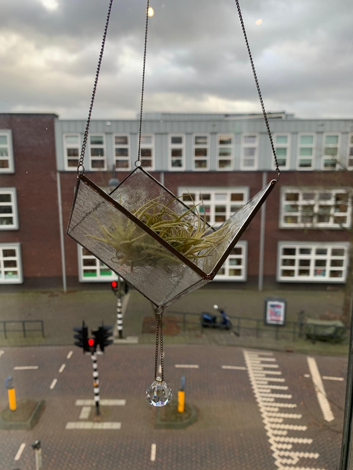 Plantenhanger groot
