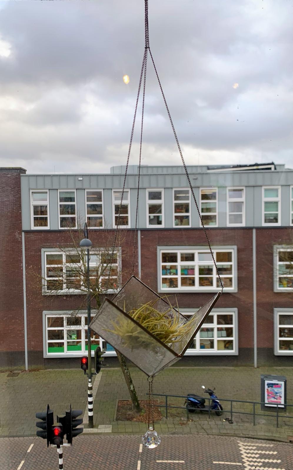 Plantenhanger groot